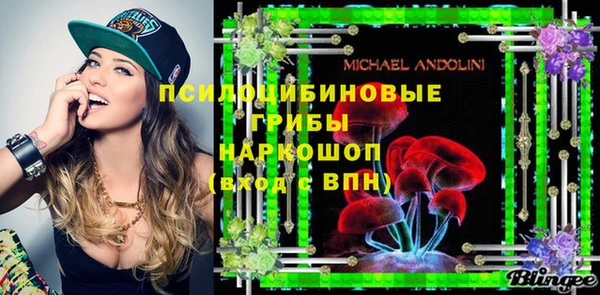 прущие крисы Белокуриха