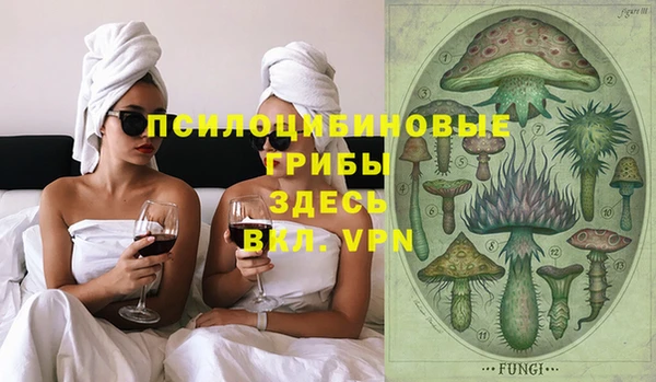 прущие крисы Белокуриха