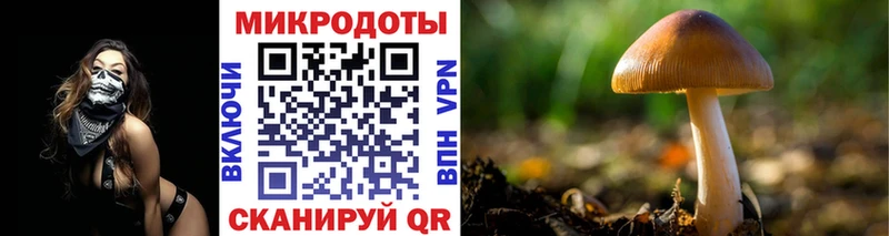 Купить где  Дивногорск  Галлюциногенные грибы Psilocybine cubensis 