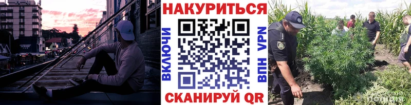 Бошки Шишки VHQ  Купить  Дивногорск 